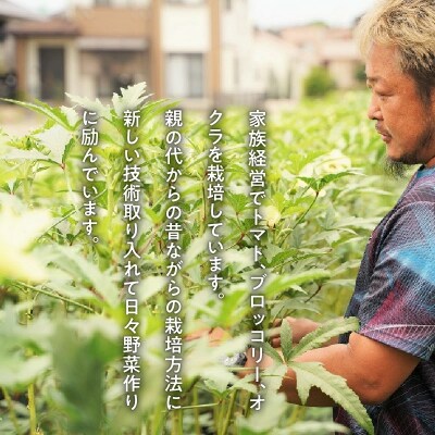 【2025年発送】太陽をたっぷり浴びて育った　オクラ1kg　H139-027