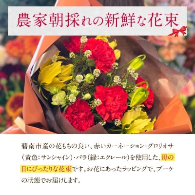 【母の日ギフト】カーネーションを使った新鮮な花束  H143-027