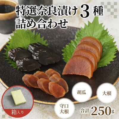 酒粕問屋謹製　特選奈良漬け3種詰め合わせ 250g　箱入り　H145-016