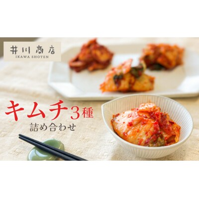 3種キムチ詰め合わせ(3種×2P)計6P H147-008