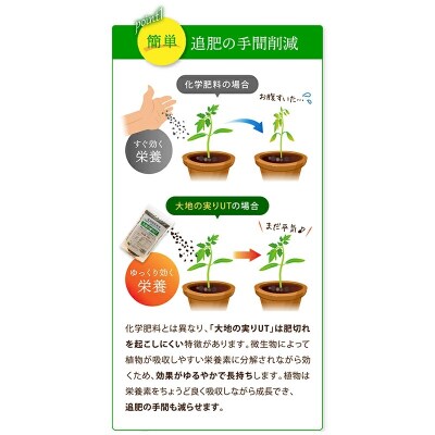 ニッコン オーガニック肥料 大地の実りUT 800g 有機肥料 石灰入り　H158-028