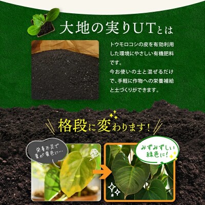 ニッコン オーガニック肥料 大地の実りUT 5㎏ 有機肥料 石灰入り　H158-029