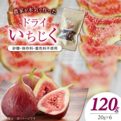 【無添加・砂糖不使用】農家が本気で作ったドライいちじく(20g×6パック)  H164-022