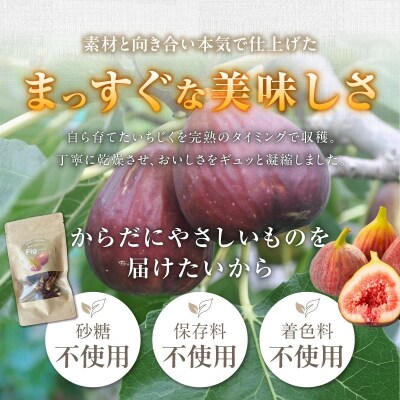【無添加・砂糖不使用】農家が本気で作ったドライいちじく(20g×6パック)  H164-022
