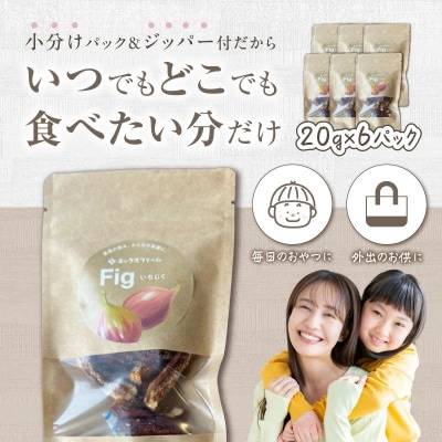【無添加・砂糖不使用】農家が本気で作ったドライいちじく(20g×6パック)  H164-022