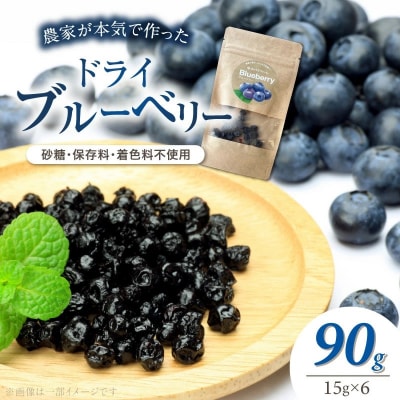 【予約受付】【無添加・砂糖不使用】ドライブルーベリー(15g×6パック) H164-023