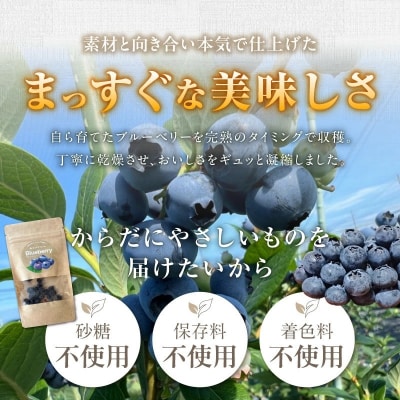 【予約受付】【無添加・砂糖不使用】ドライブルーベリー(15g×6パック) H164-023