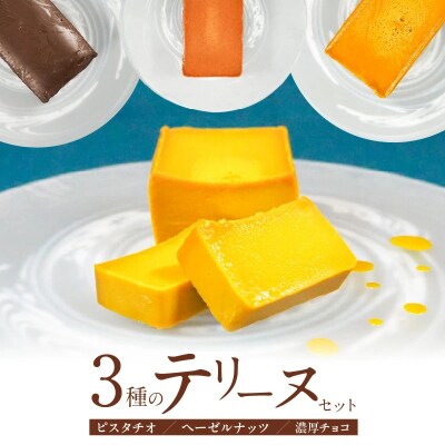 (約200g)ピスタチオ・ヘーゼルナッツ・濃厚チョコの3種のテリーヌセット　H173-091