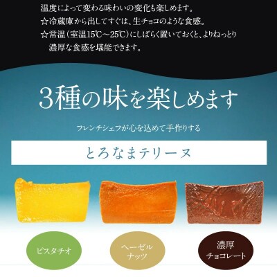 (約200g)ピスタチオ・ヘーゼルナッツ・濃厚チョコの3種のテリーヌセット　H173-091