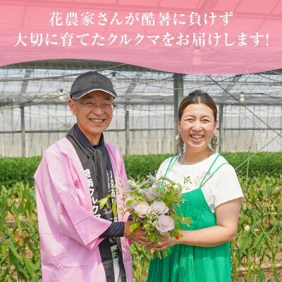 【夏限定】花もち抜群!碧南市産「クルクマ」 カラフルブーケ 20本花束でお届け H174-008