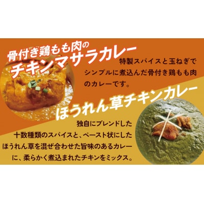 【レンジで簡単】本格スパイスカレー2種4袋セット H177-022