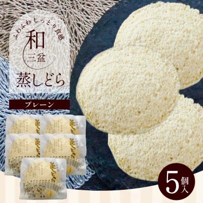 【蒸しどら プレーン 5個入 】和三盆 どら焼き 餡 ふわふわ H181-013