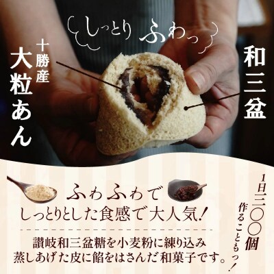【蒸しどら プレーン 5個入 】和三盆 どら焼き 餡 ふわふわ H181-013