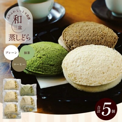 【蒸しどら3種 5個入 】和三盆 プレーン×3 抹茶×1コーヒー×1  どら焼き H181-015