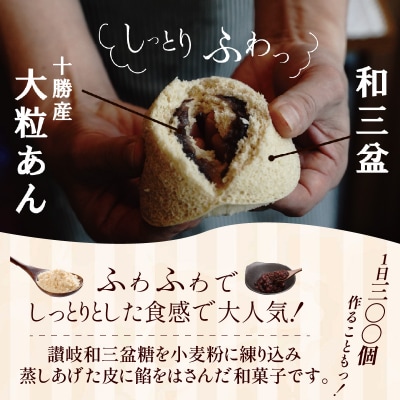 【蒸しどら3種 10個入 】和三盆 プレーン×5 抹茶×3 コーヒー×2  H181-018