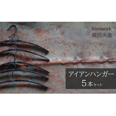 アイアンハンガー【5本セット】 H182-011
