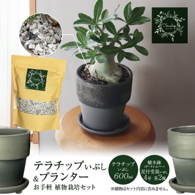 三河焼 植木鉢 ダークシルバー【テラチップいぶし】 植物栽培セット H188-005