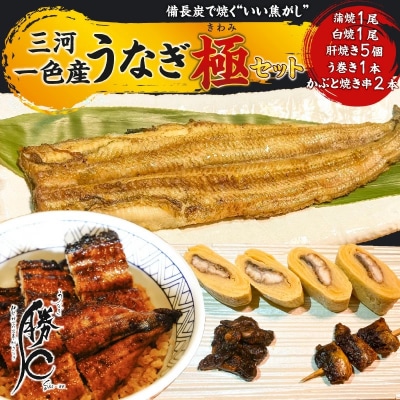 【備長炭で焼く“いい焦がし”】勝〇のぜいたく極セット H189-023