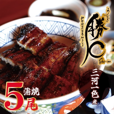 【備長炭で焼く“いい焦がし”】三河一色産うなぎの蒲焼5尾 鰻 冷凍 三河一色産 H189-032