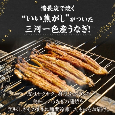 【備長炭で焼く“いい焦がし”】三河一色産うなぎの蒲焼5尾 鰻 冷凍 三河一色産 H189-032