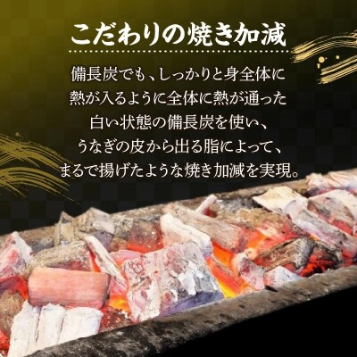 【備長炭で焼く“いい焦がし”】三河一色産うなぎの白焼 8尾 鰻  冷凍 三河一色産 H189-035