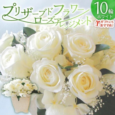 【日付指定可能】 プリザーブドフラワーローズ10輪　ホワイト 薔薇　H193-041