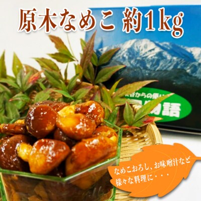 【2026年発送】原木なめこ約1kg_H088(R8)
