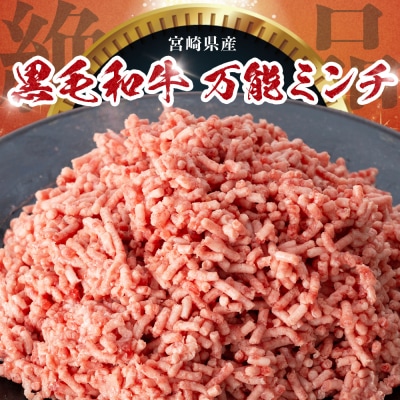 宮崎県産 黒毛和牛 万能ミンチ 約1.1kg(550g×2P)