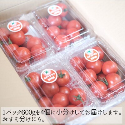 笠岡産ミディトマト2.4kg(数量限定)　A-233