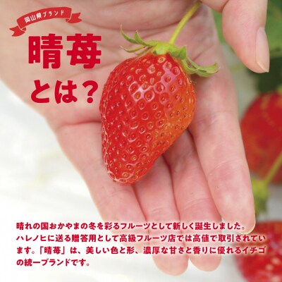 【先行予約】しあわせ届けるいちご農園HappyComeComeの晴苺450g B-90a