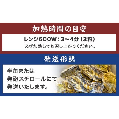 笠岡産 冷凍殻付き牡蠣 加熱用 4kg 60～80粒 《30日以内に出荷予定(土日祝除く)》