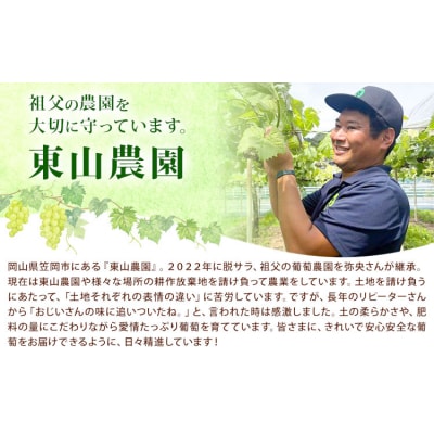 東山ワイン2025 750ml 藤稔 東山農園《30日以内に出荷予定(土日祝除く)》