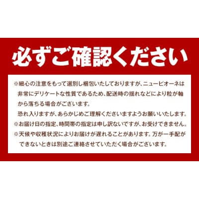 岡山県産 ご家庭用 ニューピオーネ 約1.2kg《9月上旬-10月上旬頃出荷》【配送不可地域:離島】
