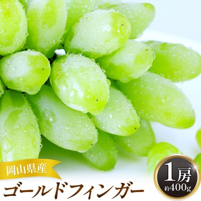 【2027年先行予約】岡山県産 ゴールドフィンガー 1房 約400g【配送不可地域:離島】