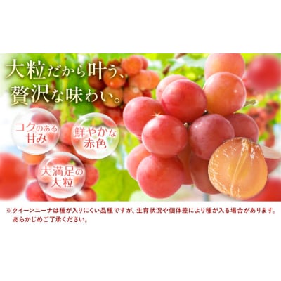 【2027年先行予約】ご家庭用 岡山県産 クインニーナ 約1.2kg《【配送不可地域:離島】