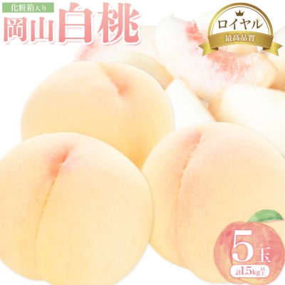 岡山白桃 5玉 (1.5kg以上) 等級ロイヤル 化粧箱入り 株式会社山博[配送不可地域あり]