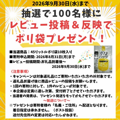 瀬戸内麺工房なか川「広島流 汁なし担々麺10食セット」 (10袋、たれ、すり胡麻、七味唐辛子付き)