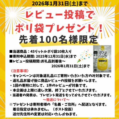 瀬戸内麺工房なか川「広島流 辛辛つけ麺10食セット」 (10袋、たれ、すり胡麻、辛味パウダー付き)