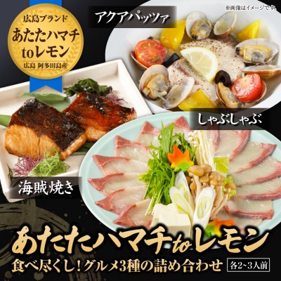 広島ブランドフルーツ魚「あたたハマチtoレモン」3種のグルメお料理セット 2~3人前【広島県大竹市】