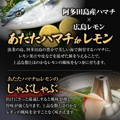 広島ブランドフルーツ魚「あたたハマチtoレモン」3種のグルメお料理セット 2~3人前【広島県大竹市】