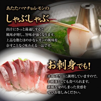 広島ブランドフルーツ魚 あたたハマチtoレモン のしゃぶしゃぶ 2 3人前 冷凍便 広島県大竹市 お礼品詳細 ふるさと納税なら さとふる