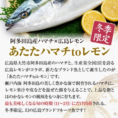 広島県特産フルーツ魚「あたたハマチtoレモン」のしゃぶしゃぶ 2～3人前 冷凍便【広島県大竹市】