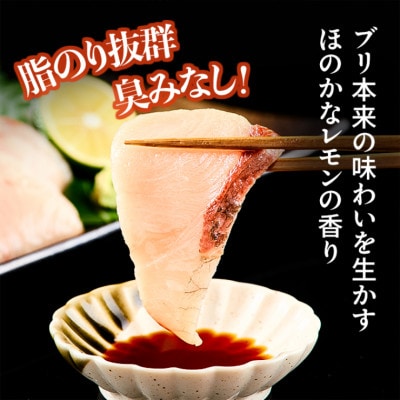 レビューキャンペーン中!瀬戸内海 レモン育ち あたたブリtoレモン ブロック4ブロック合計800g