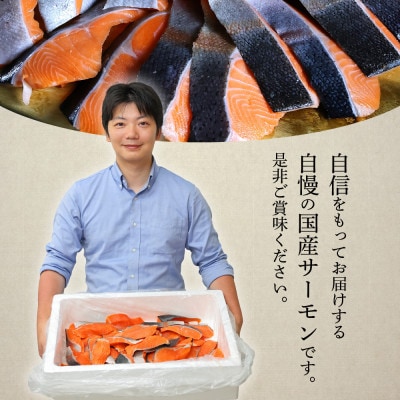 国産サーモン 切り落とし 800g (80g×10P) 小分け 広島レモンサーモン