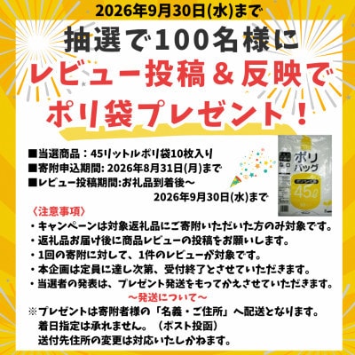 レビューキャンペーン中!瀬戸内海レモン育ち 広島レモンサーモン (皮あり) 2ブロック合計約425g