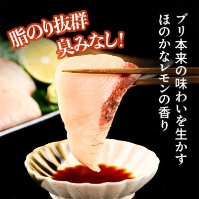 瀬戸内海 レモン育ち あたたブリtoレモン 8ブロック 合計約1600g