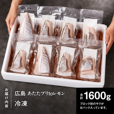 瀬戸内海 レモン育ち あたたブリtoレモン 8ブロック 合計約1600g