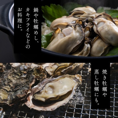 レビューキャンペーン中!広島県大竹市玖波産くばおう　殻付き牡蠣　20個(約4人前)