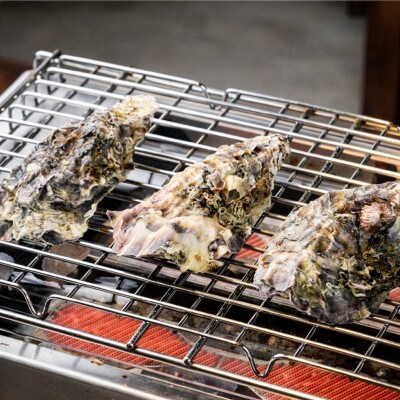 広島県大竹市玖波産くばおう カキ小屋お食事券〈60分食べ放題+バケツ詰め放題〉1名様