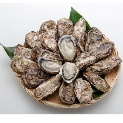 オレの牡蠣 アミスイ 殻付牡蠣2kg